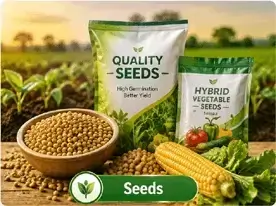 Seeds